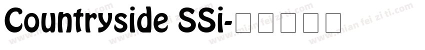 Countryside SSi字体转换